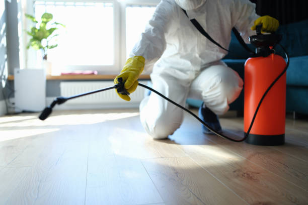 Trusted Sewage Cleanup service in Waverly, OH - Four Month Blood Cleanse